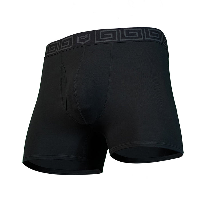 SHEATH 2.1 Bamboo Men's Dual Pouch Trunk 3 inch 5-Pack – men's bamboo dual pouch trunk 5-pack