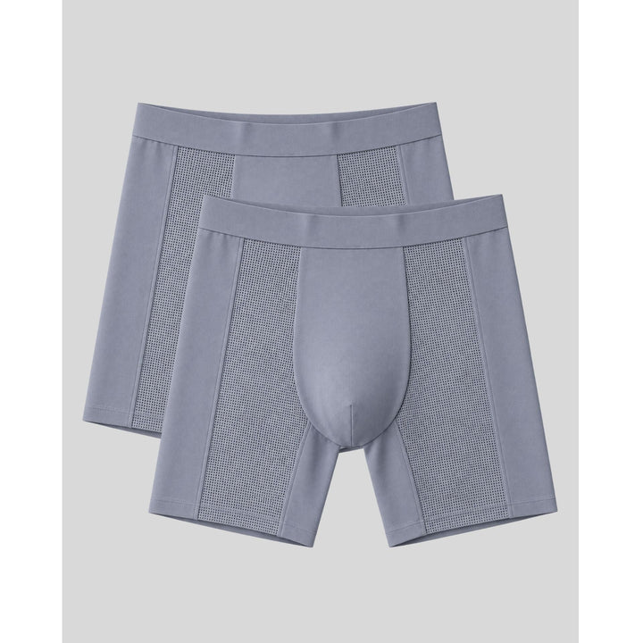 SilkCut Mesh Modal Performance Boxer Briefs 2-Pack – men's breathable mesh modal boxer briefs