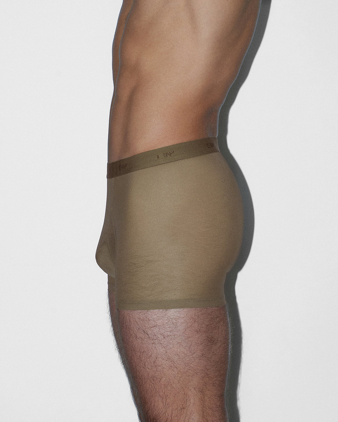 C-IN2 Sheer Boxer Brief in dark nude – men's sheer nylon mesh boxer brief 4 inch inseam