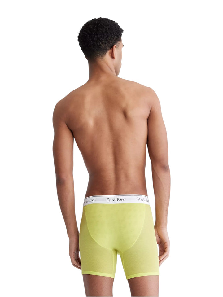Calvin Klein Pride This Is Love Mesh Boxer Brief (Lemon Lime)