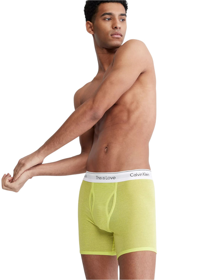 Calvin Klein Pride This Is Love Mesh Boxer Brief (Lemon Lime)