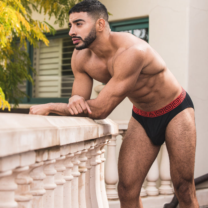 SHEATH Dual Pouch Euro Briefs | Modal Fabric, Classic Style & Superior Support