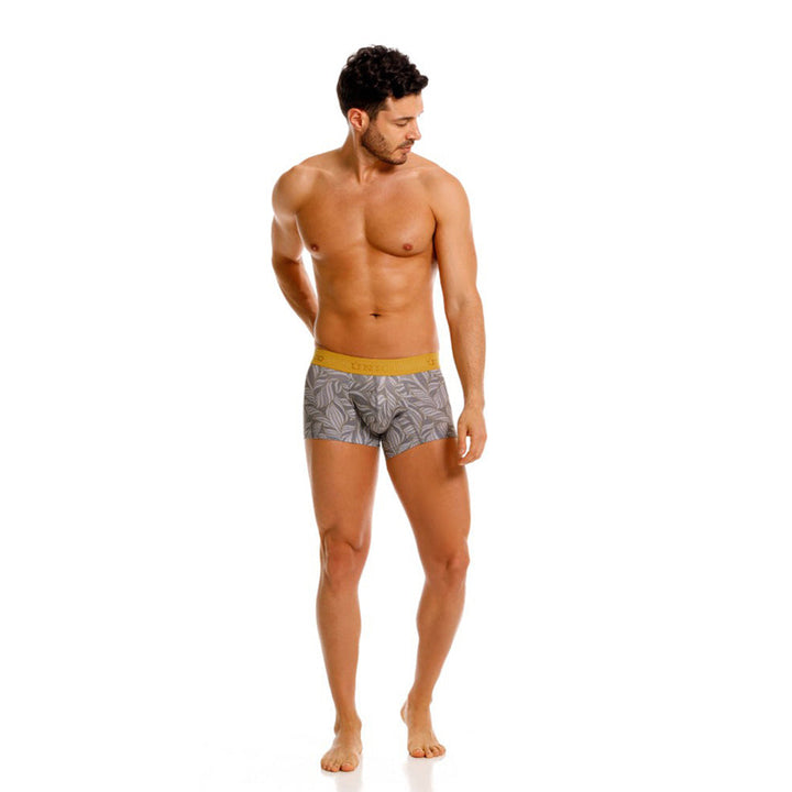 Mundo Unico Caudal Men's Boxer Briefs | Gray