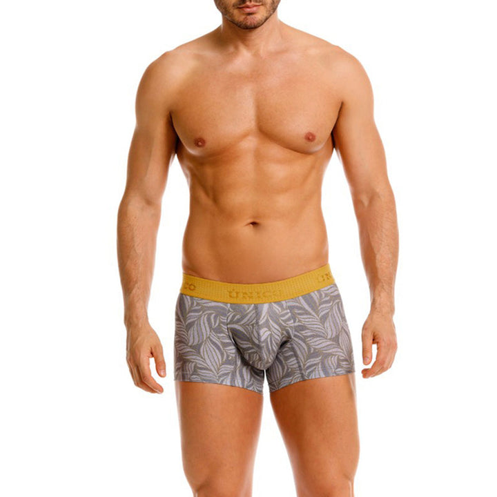 Mundo Unico Caudal Men's Boxer Briefs | Gray