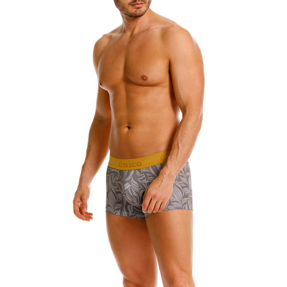 Mundo Unico Caudal Men's Boxer Briefs | Gray