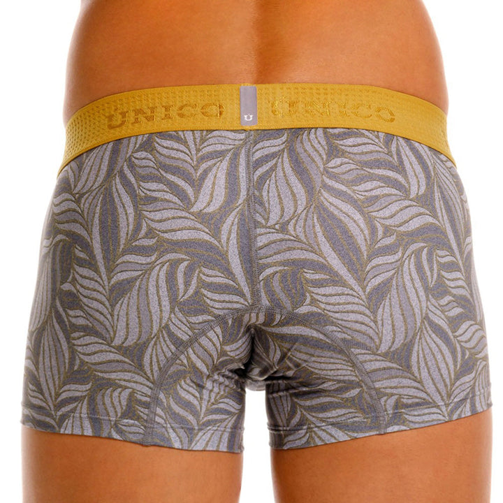 Mundo Unico Caudal Men's Boxer Briefs | Gray