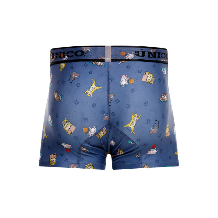 Unico Micho Men's Short Boxer Brief - Blue with Cat Print