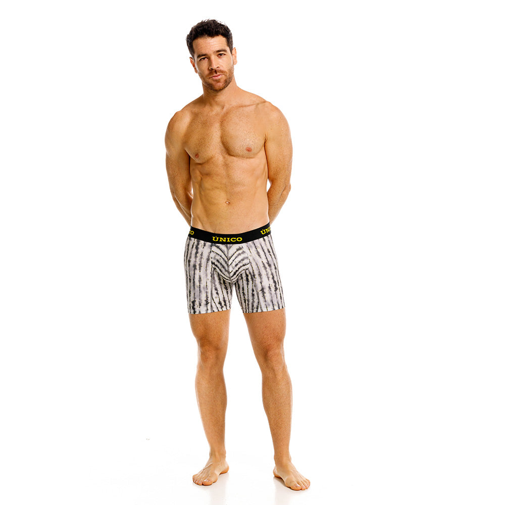 Mundo Unico Mont Men's Boxer Briefs | Gray