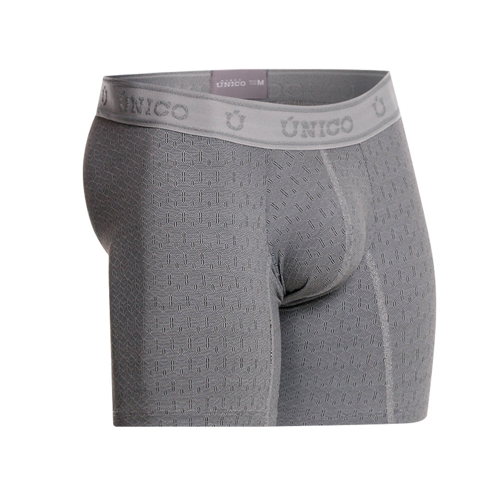 Mundo Unico Felina Men's Boxer Briefs | Gray