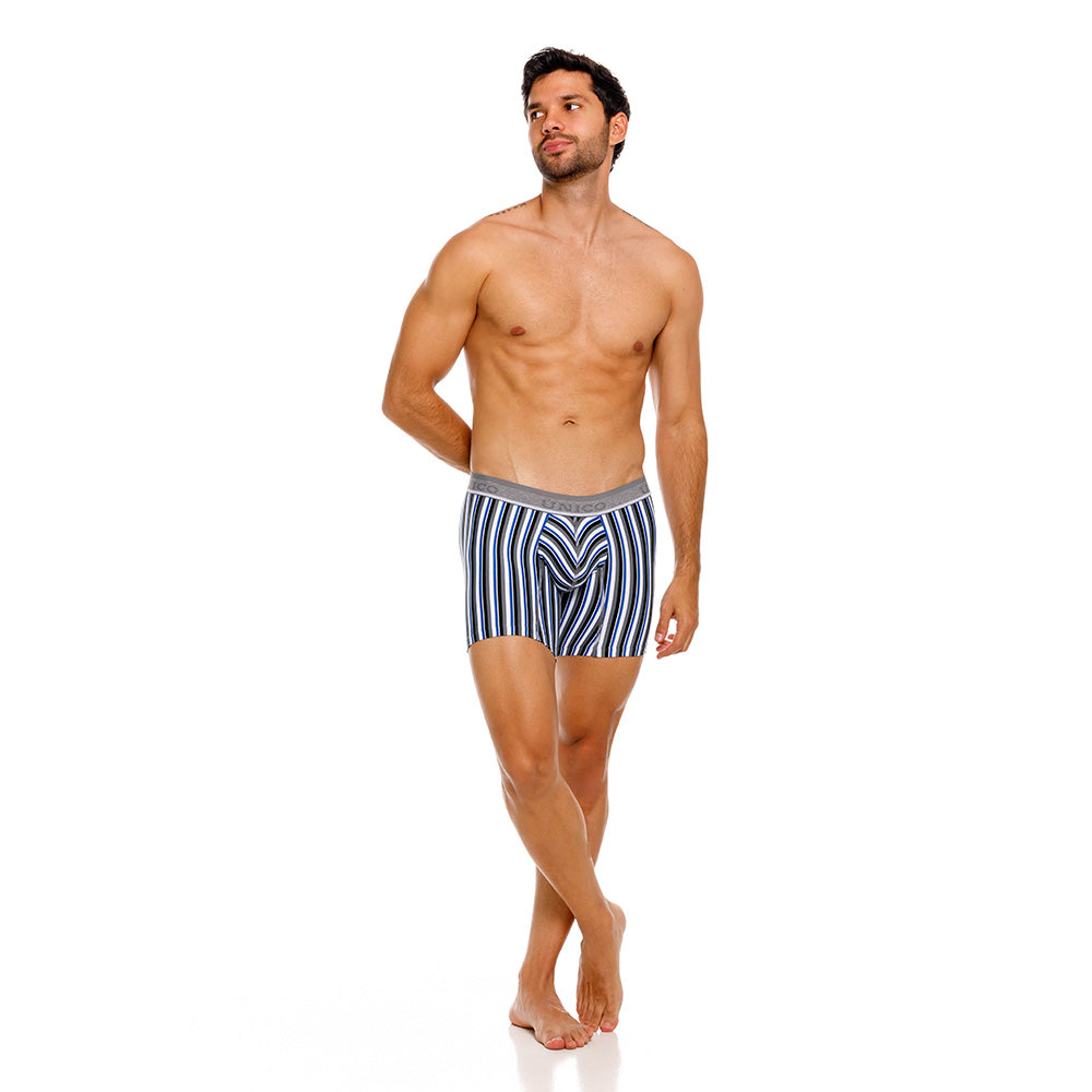 Mundo Unico Men's Mid-Length Boxer Briefs - Acantiforme Gris Striped Microfiber