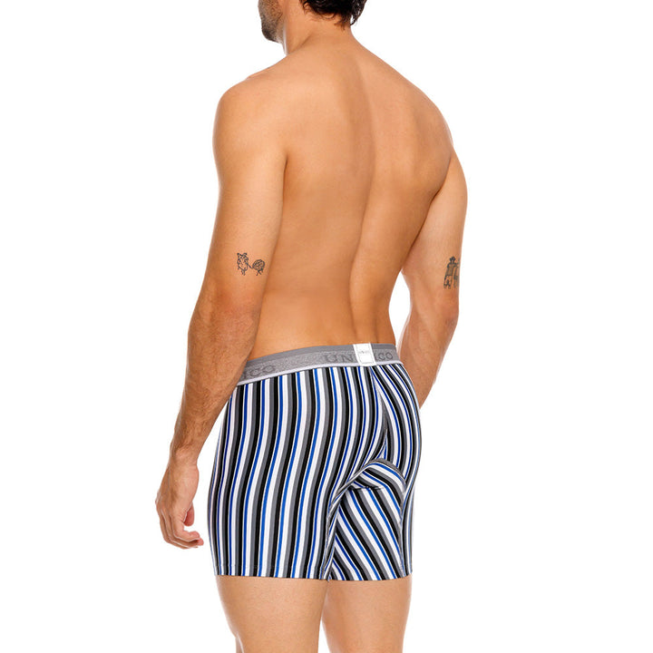 Mundo Unico Men's Mid-Length Boxer Briefs - Acantiforme Gris Striped Microfiber