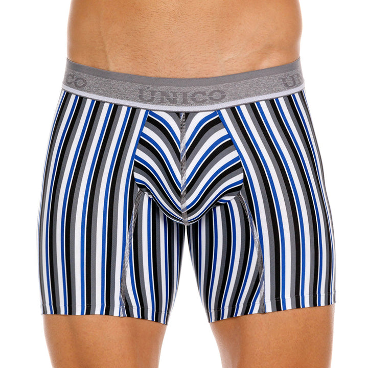 Mundo Unico Men's Mid-Length Boxer Briefs - Acantiforme Gris Striped Microfiber