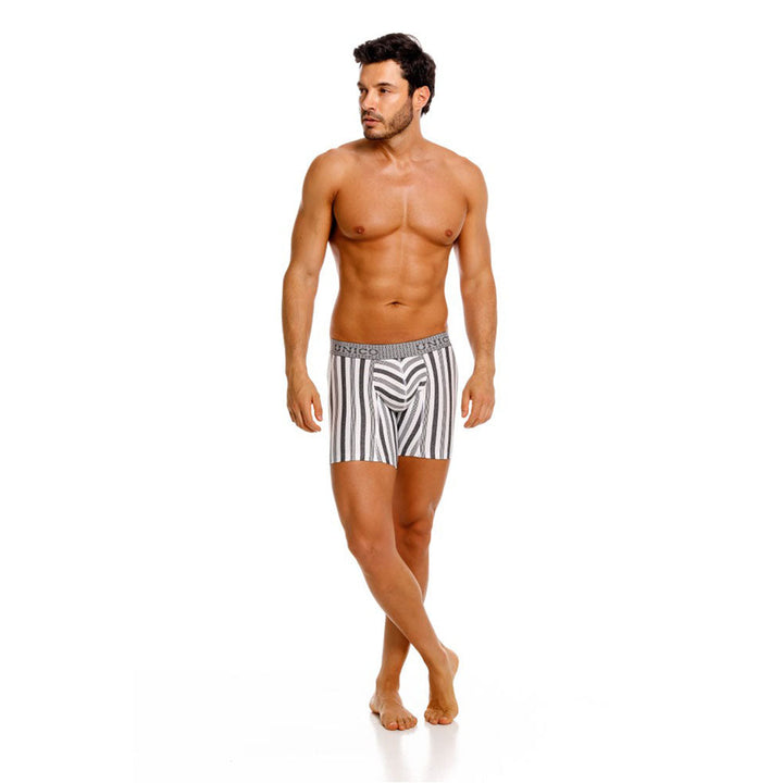 Mundo Unico Men's Mid-Length Boxer Briefs - Piura Grey Striped Microfiber