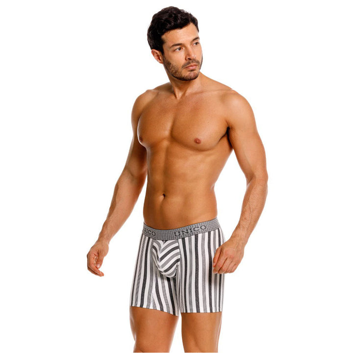 Mundo Unico Men's Mid-Length Boxer Briefs - Piura Grey Striped Microfiber