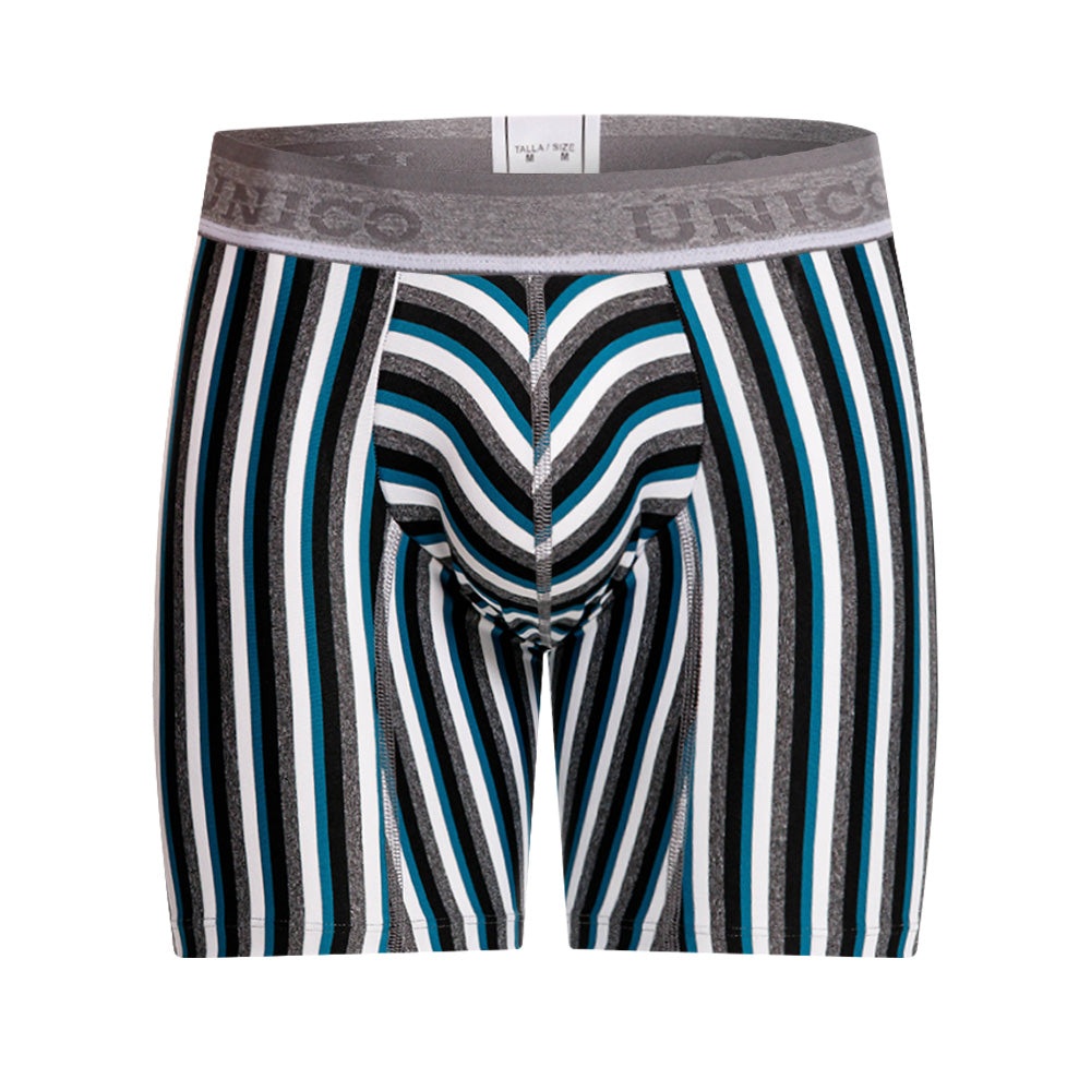 Mundo Unico Men's Mid-Length Boxer Briefs - Utrecht Verde Striped Microfiber