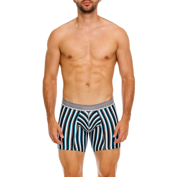 Mundo Unico Men's Mid-Length Boxer Briefs - Utrecht Verde Striped Microfiber