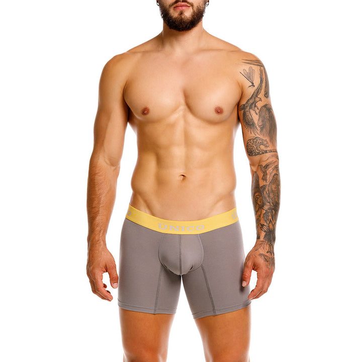 Mundo Unico Tepezcuinte Men's Boxer Briefs | Gray