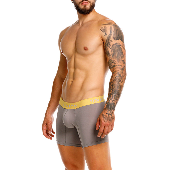 Mundo Unico Tepezcuinte Men's Boxer Briefs | Gray