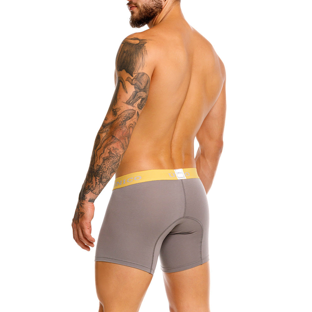Mundo Unico Tepezcuinte Men's Boxer Briefs | Gray