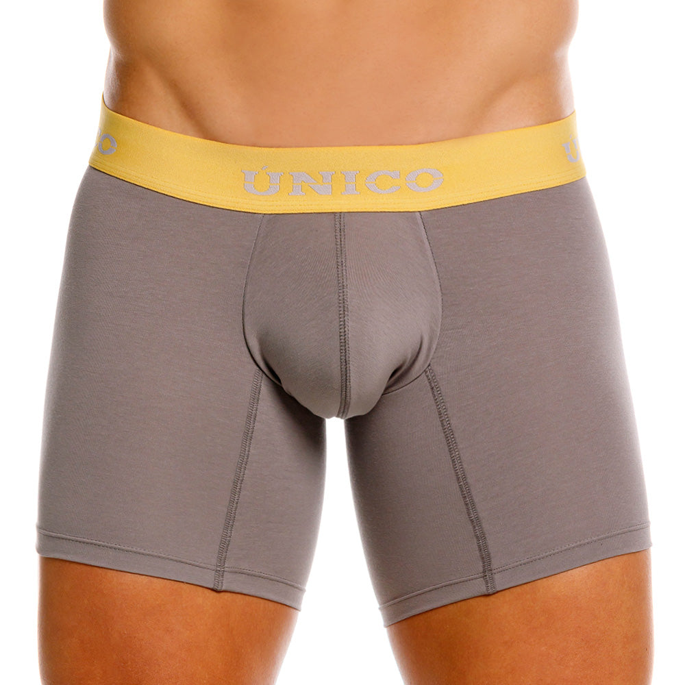 Mundo Unico Tepezcuinte Men's Boxer Briefs | Gray