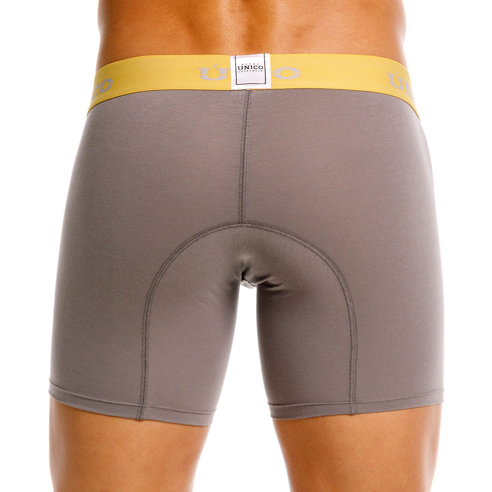 Mundo Unico Tepezcuinte Men's Boxer Briefs | Gray