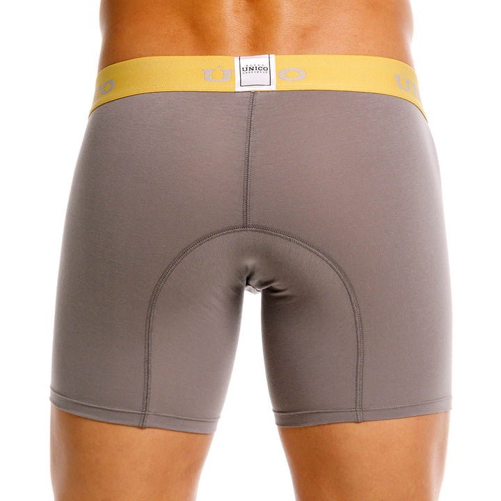 Mundo Unico Tepezcuinte Men's Boxer Briefs | Gray
