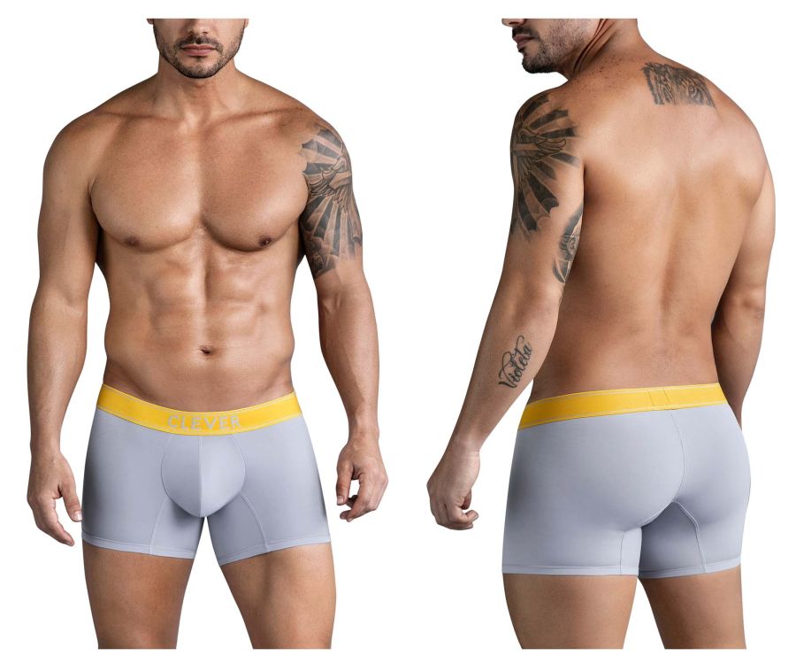 Clever Moda Diseno Trunks in Gray – men's trunks