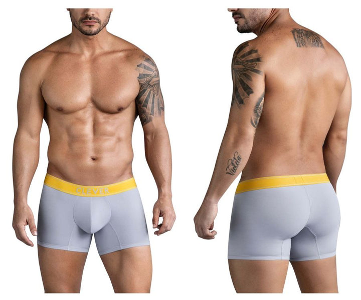 Clever Moda Diseno Trunks in Gray – men's trunks