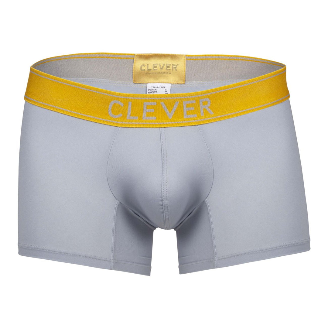 Clever Moda Diseno Trunks in Gray – men's trunks