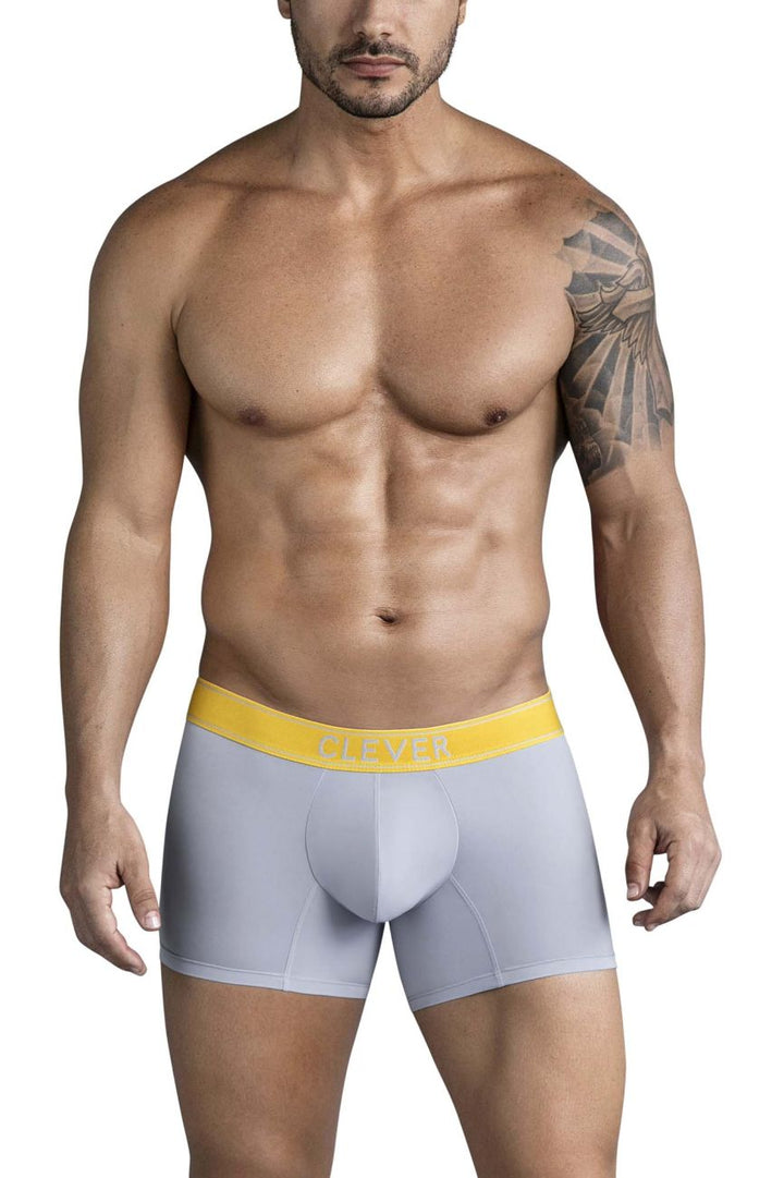 Clever Moda Diseno Trunks in Gray – men's trunks