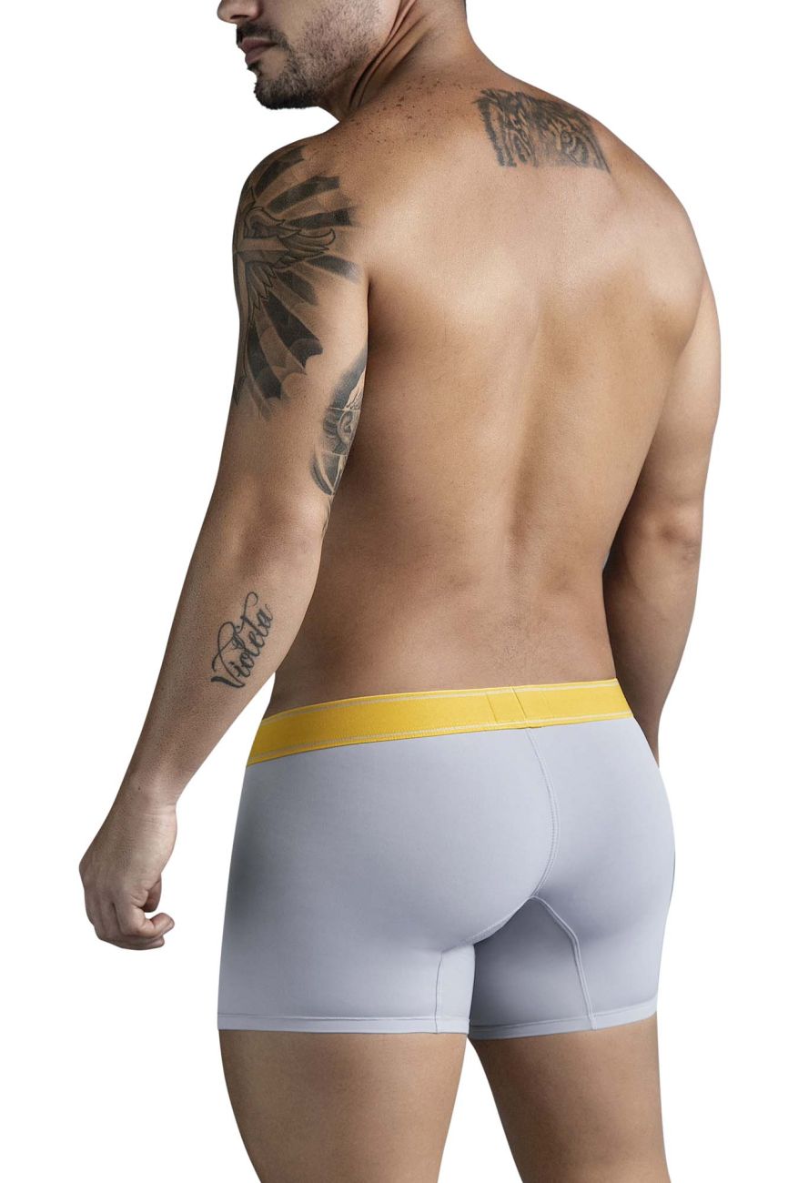 Clever Moda Diseno Trunks in Gray – men's trunks