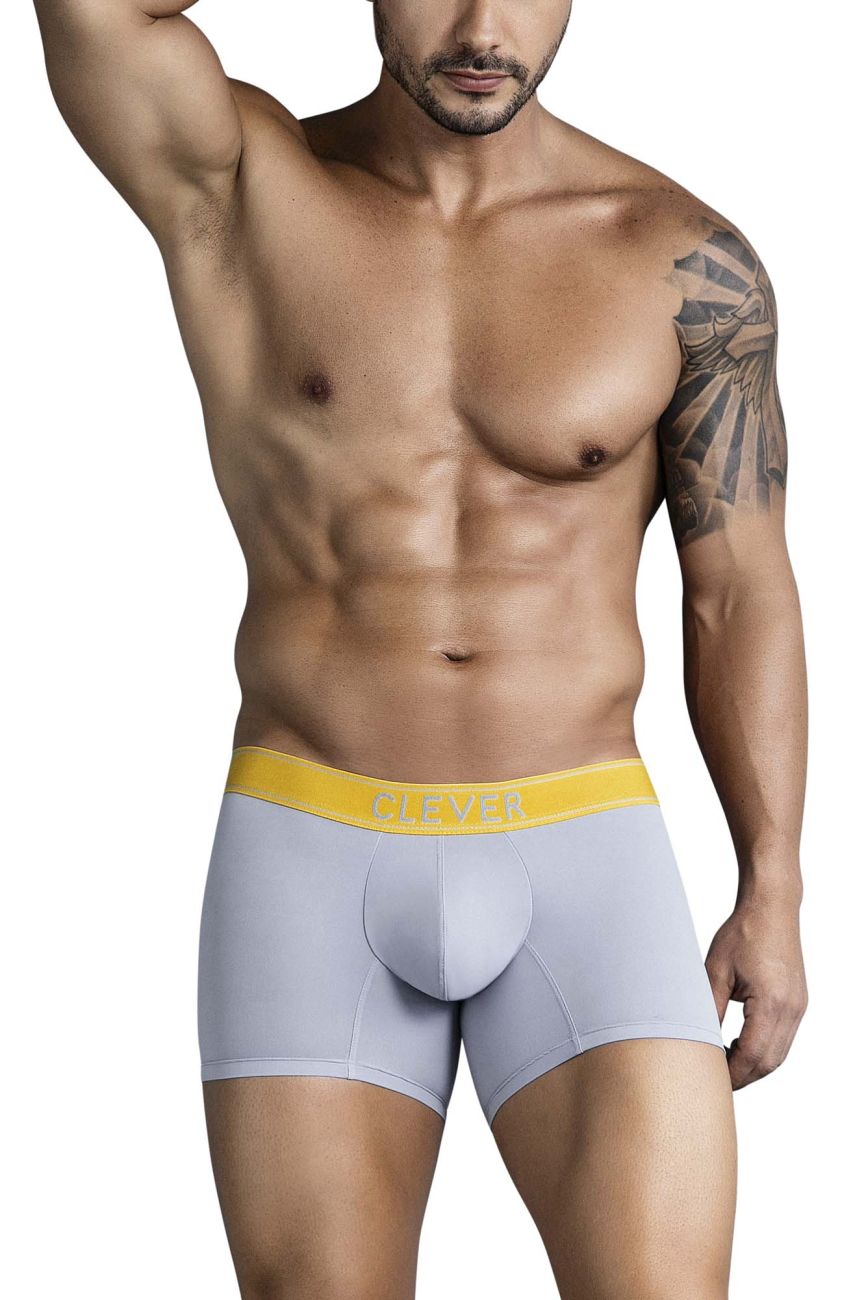 Clever Moda Diseno Trunks in Gray – men's trunks