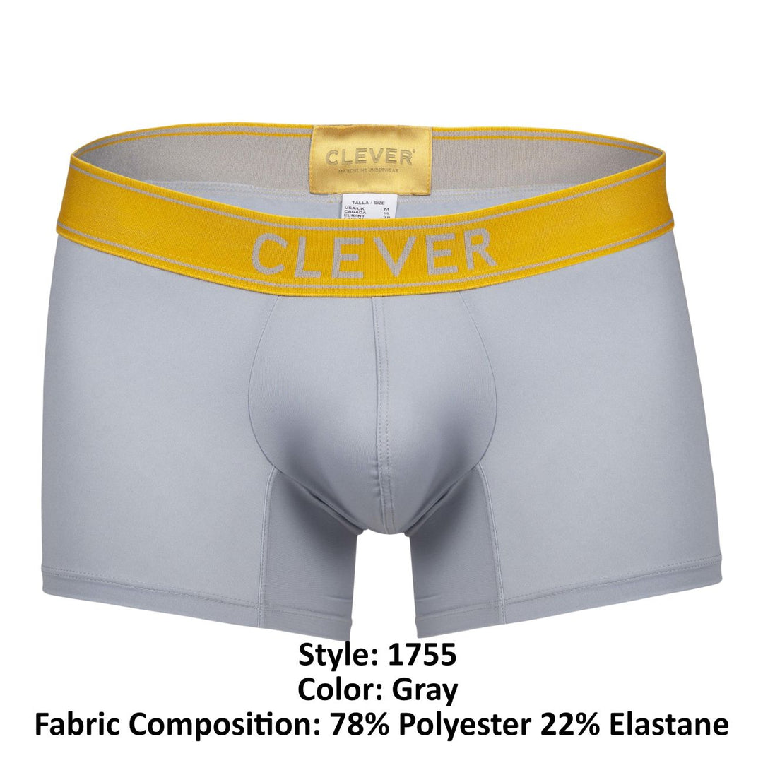 Clever Moda Diseno Trunks in Gray – men's trunks