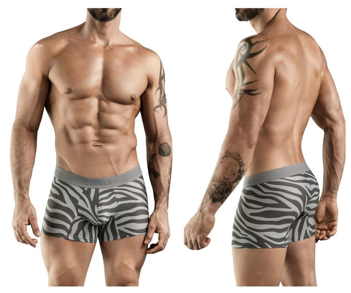Clever Moda Cebra Men's Trunk Underwear in Gray – men's trunks