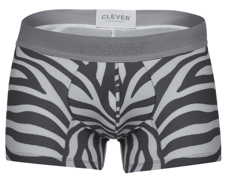 Clever Moda Cebra Men's Trunk Underwear in Gray – men's trunks