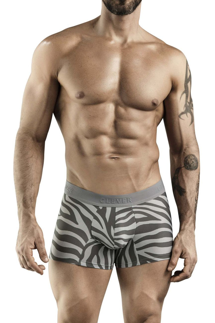 Clever Moda Cebra Men's Trunk Underwear in Gray – men's trunks
