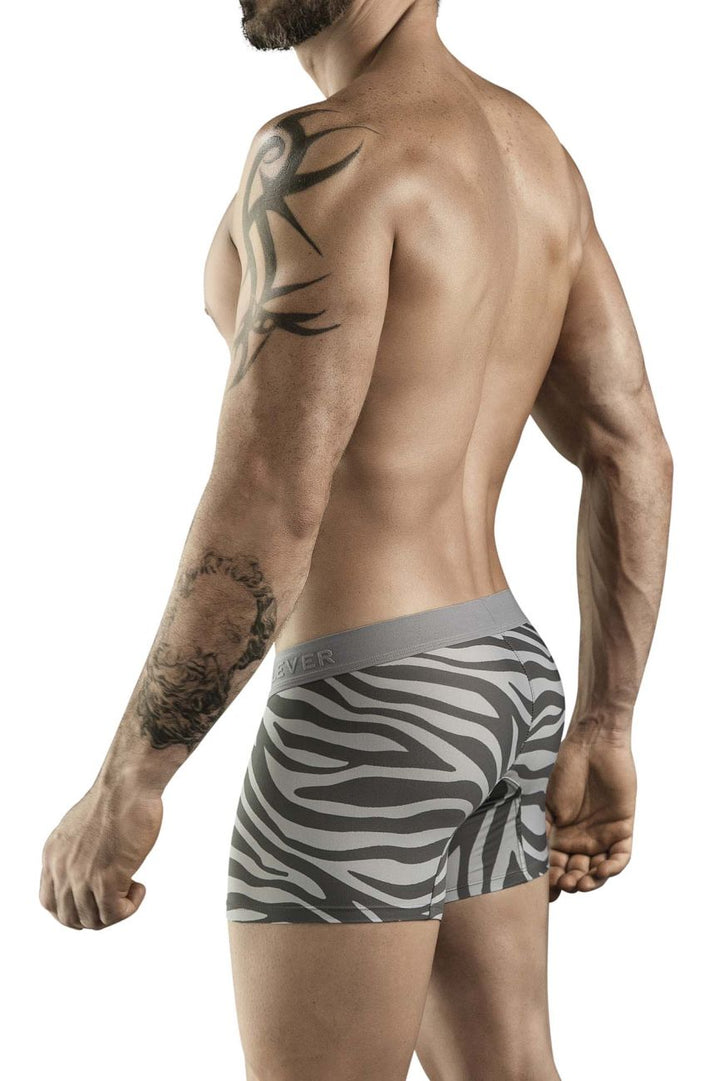 Clever Moda Cebra Men's Trunk Underwear in Gray – men's trunks