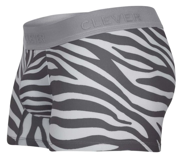 Clever Moda Cebra Men's Trunk Underwear in Gray – men's trunks
