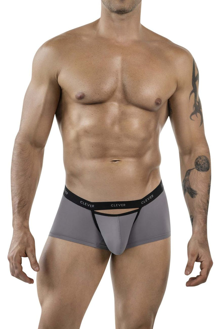 Clever Moda Tokio Men's Trunk Underwear in Gray – men's trunks