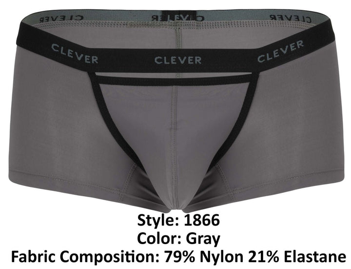Clever Moda Tokio Men's Trunk Underwear in Gray – men's trunks
