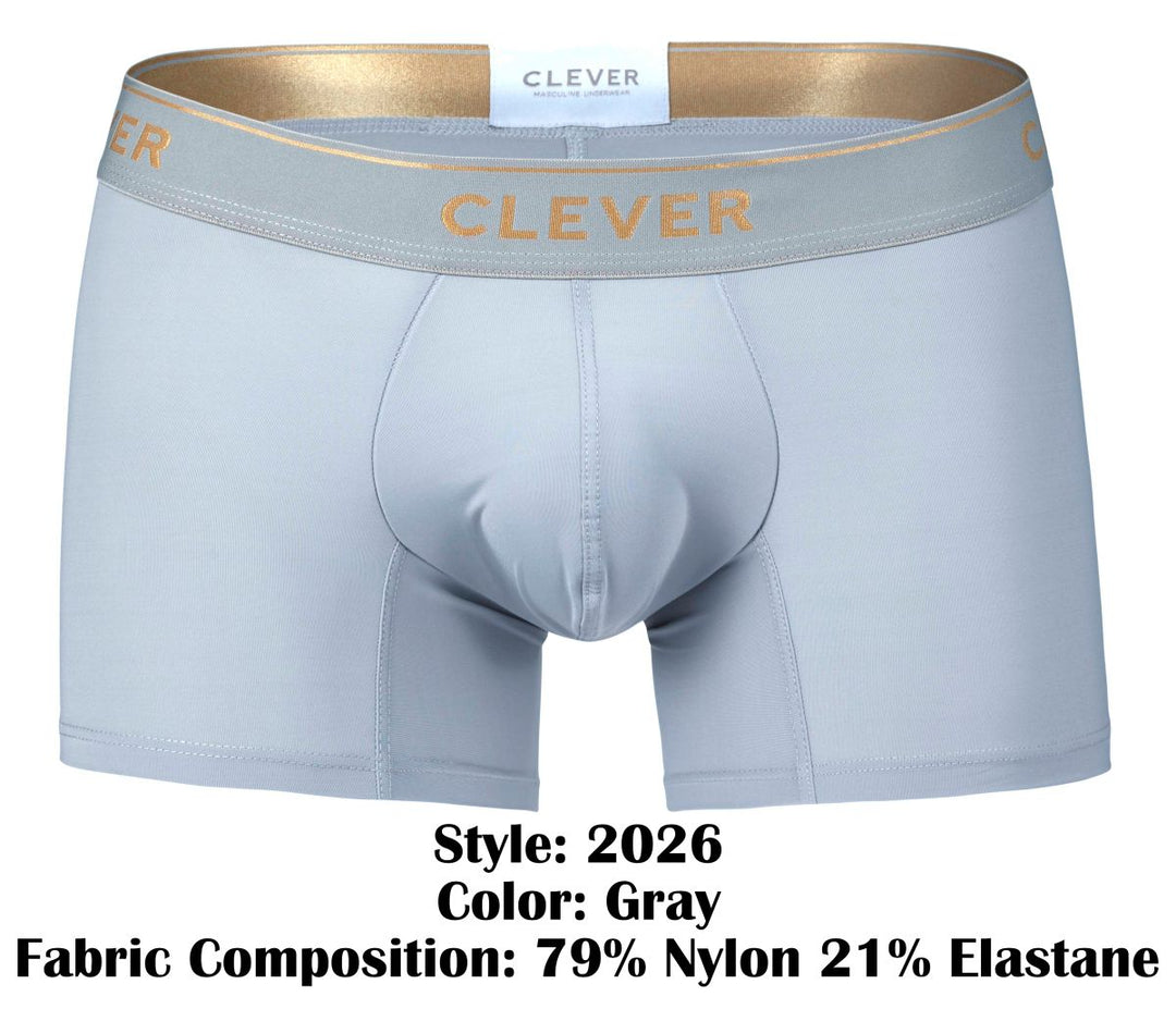 Clever Moda Valladolid Men's Trunk Underwear in Gray – men's trunks