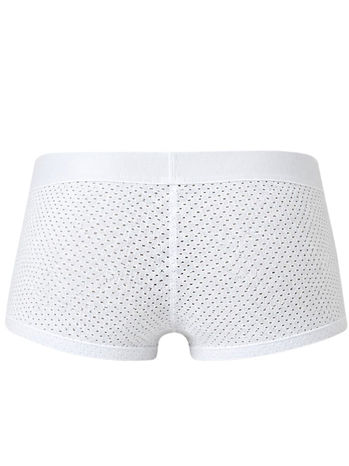 Clever Moda Ulises Men's Trunk Underwear in White – men's trunks