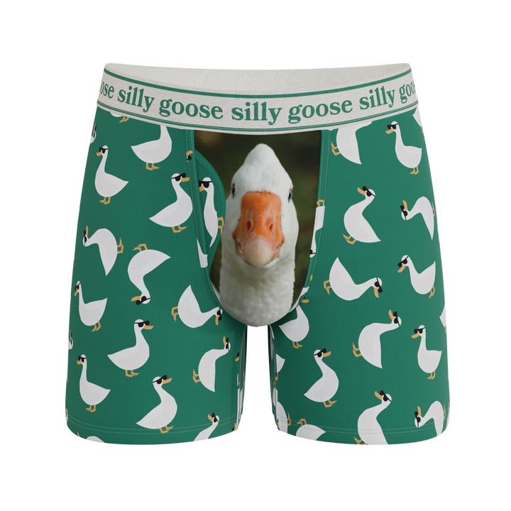 Shinesty x Middle Class Fancy The Duck You Ball Hammock underwear with fly – men's duck print boxer brief