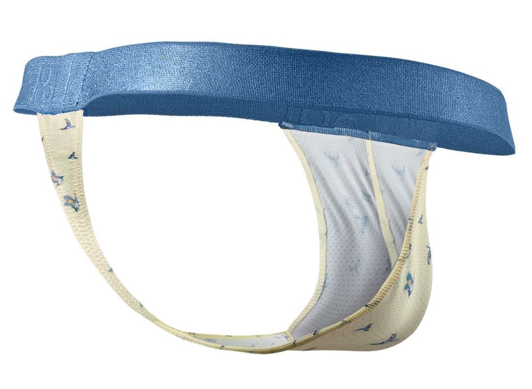 ErgoWear SLK SE Men's Thong in Vanilla Birds – men's thongs