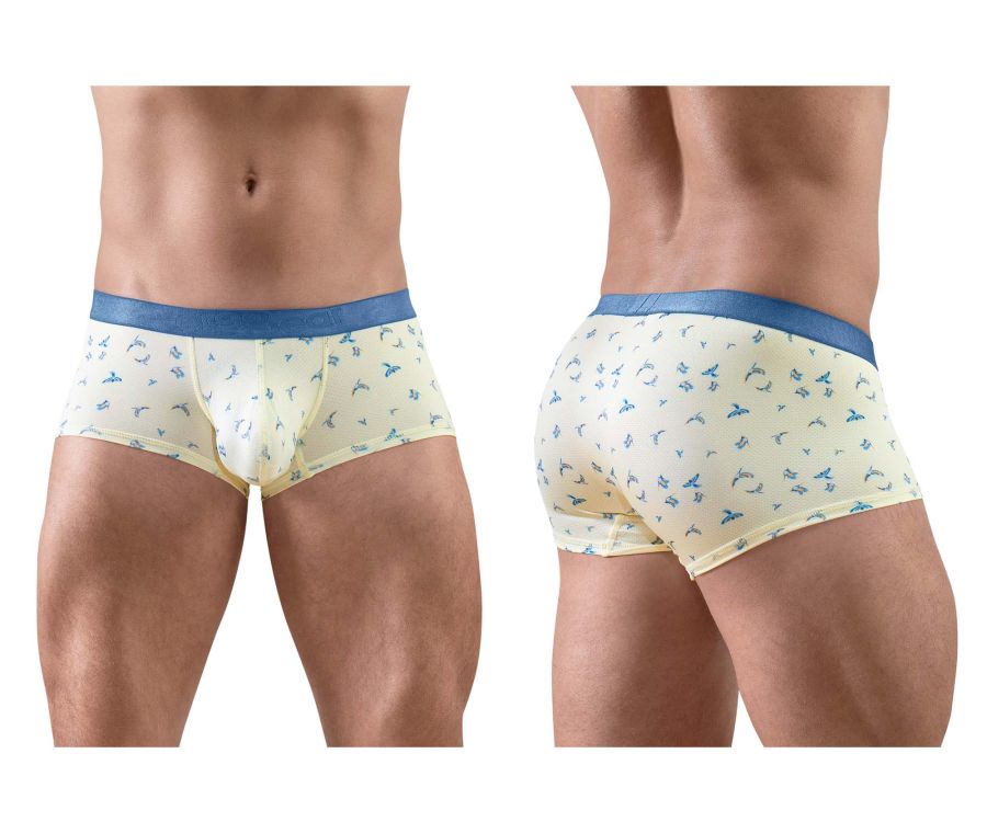 ErgoWear SLK SE Men's Trunk Underwear in Vanilla Birds – men's trunks