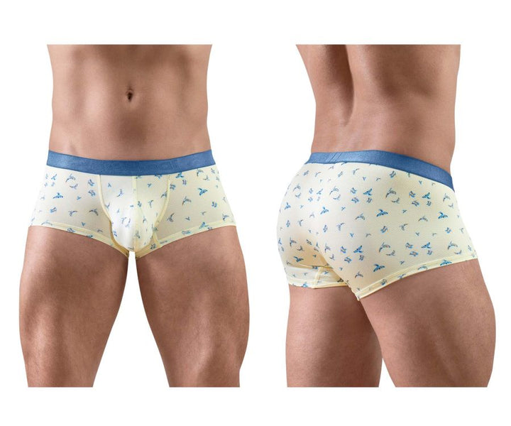 ErgoWear SLK SE Men's Trunk Underwear in Vanilla Birds – men's trunks