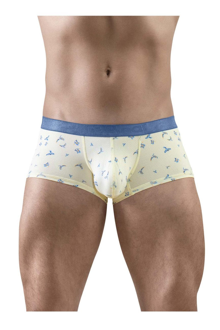 ErgoWear SLK SE Men's Trunk Underwear in Vanilla Birds – men's trunks