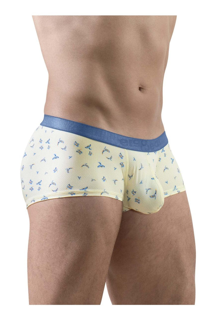 ErgoWear SLK SE Men's Trunk Underwear in Vanilla Birds – men's trunks