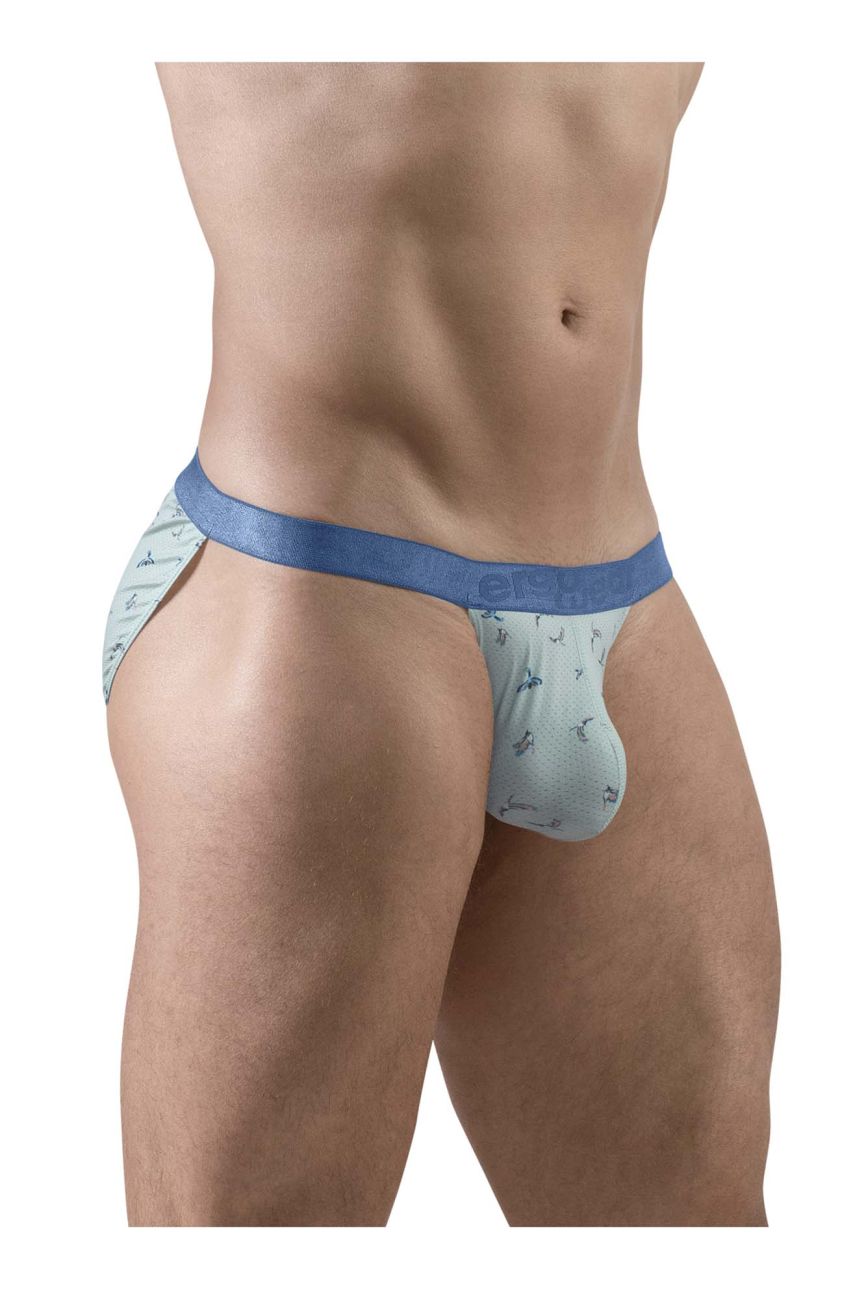 ErgoWear men's frost birds print SLK SE bikini briefs – low-rise stretch underwear