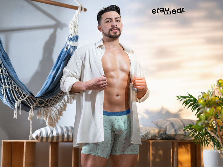 ErgoWear SLK SE Men's Boxer Brief in Frost Birds – men's boxer briefs